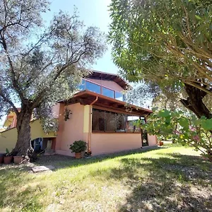 L' Antico Ulivo Iglesias